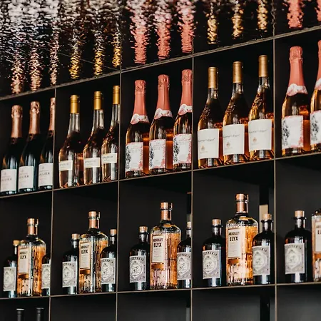 杰丽博士风景酒店 4* Pörtschach am Wörthersee